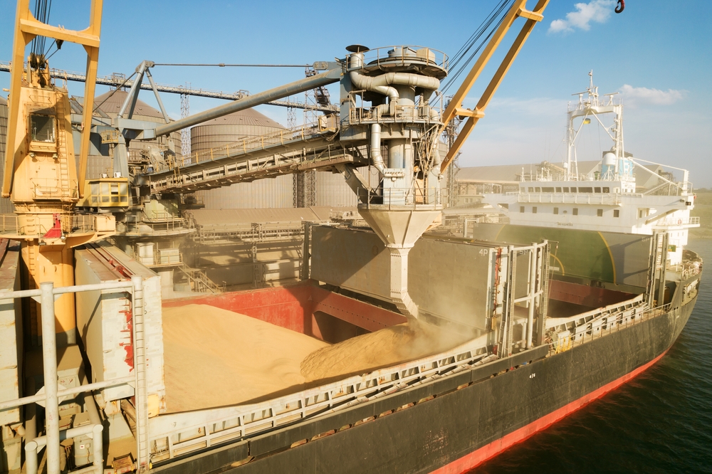 Loading grain into holds of sea cargo vessel through an automatic line in seaport from silos of grain storage